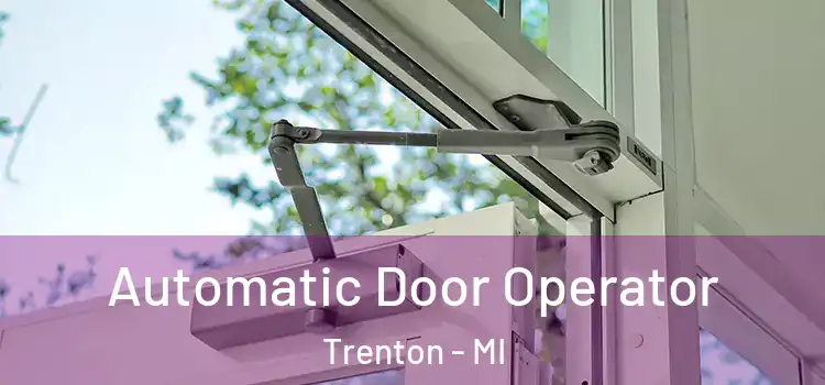 Automatic Door Operator Trenton - MI