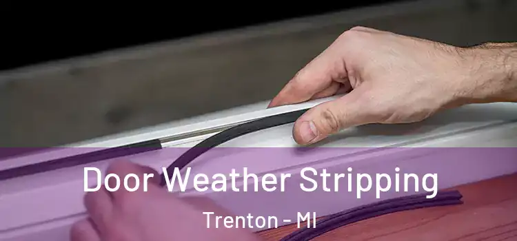 Door Weather Stripping Trenton - MI