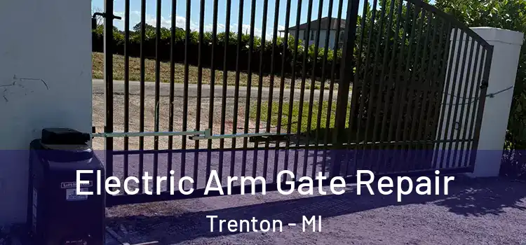 Electric Arm Gate Repair Trenton - MI