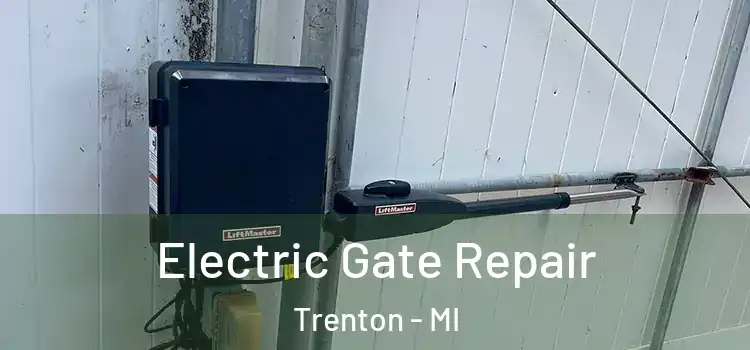 Electric Gate Repair Trenton - MI