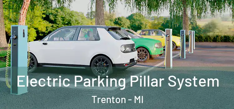  Electric Parking Pillar System Trenton - MI