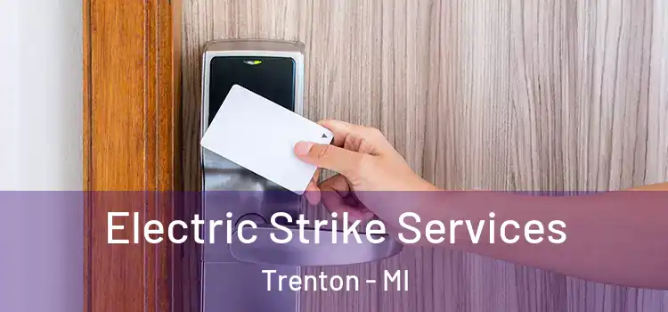  Electric Strike Services Trenton - MI