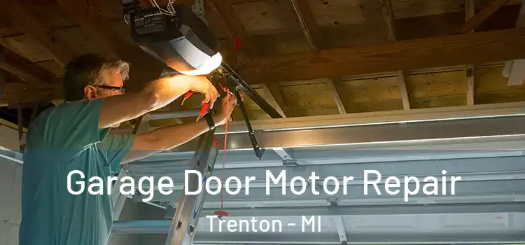  Garage Door Motor Repair Trenton - MI