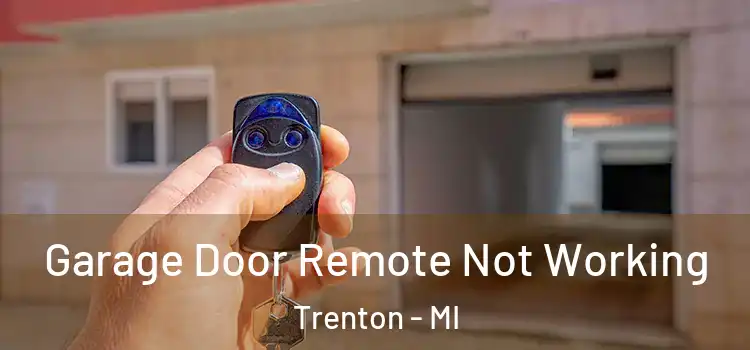  Garage Door Remote Not Working Trenton - MI