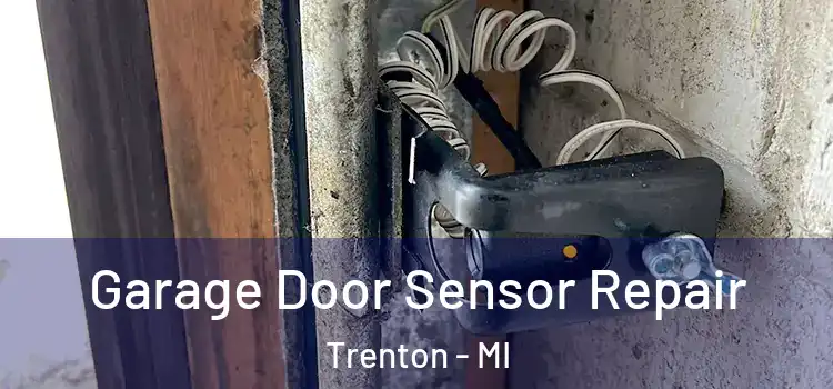 Garage Door Sensor Repair Trenton - MI