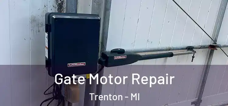 Gate Motor Repair Trenton - MI