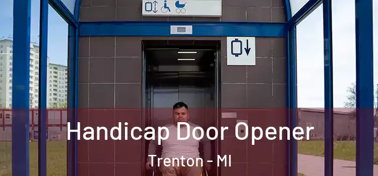 Handicap Door Opener Trenton - MI