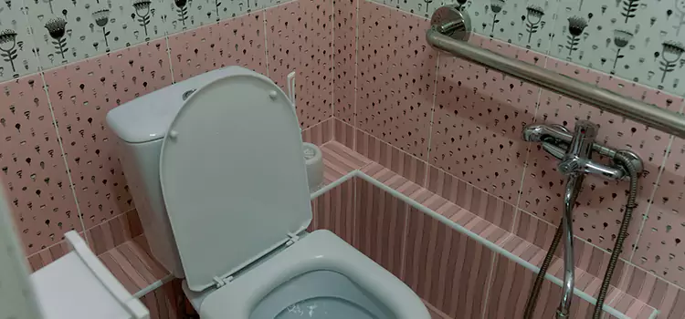 Meeting Diverse Needs With Accessible Restroom Solutions in Trenton, MI