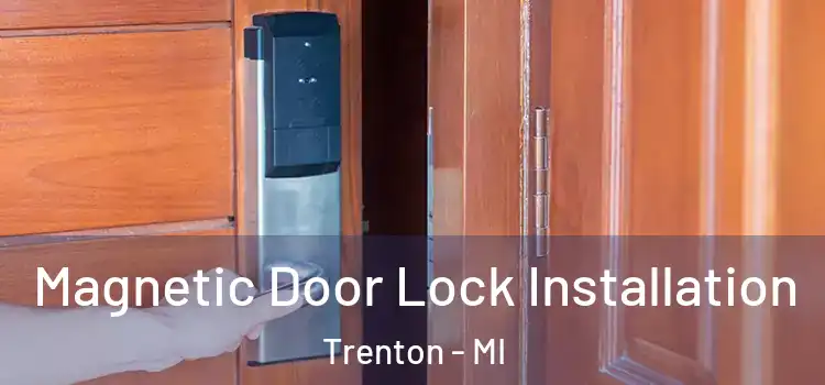  Magnetic Door Lock Installation Trenton - MI