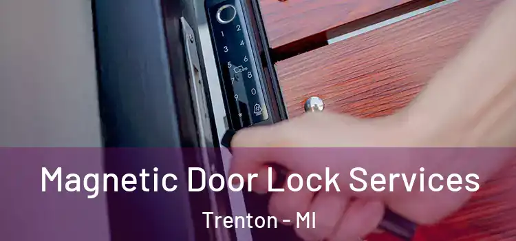  Magnetic Door Lock Services Trenton - MI