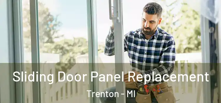  Sliding Door Panel Replacement Trenton - MI