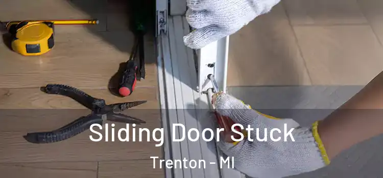  Sliding Door Stuck Trenton - MI