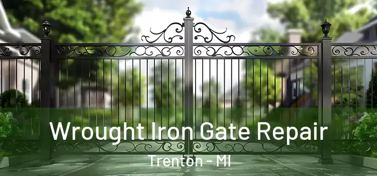 Wrought Iron Gate Repair Trenton - MI